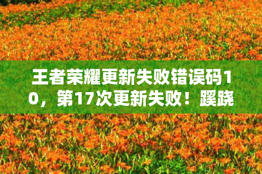 王者荣耀更新失败错误码10,第17次更新失败!蹊跷代码背后,后背发凉的十年逃亡真相 王者荣耀更新失败错误码10,第17次更新失败!蹊跷代码背后,后背发凉的十年逃亡真相