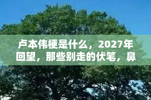 卢本伟梗是什么,2027年回望,那些别走的伏笔,鼻子一酸,记忆难删 卢本伟梗是什么,2027年回望,那些别走的伏笔,鼻子一酸,记忆难删
