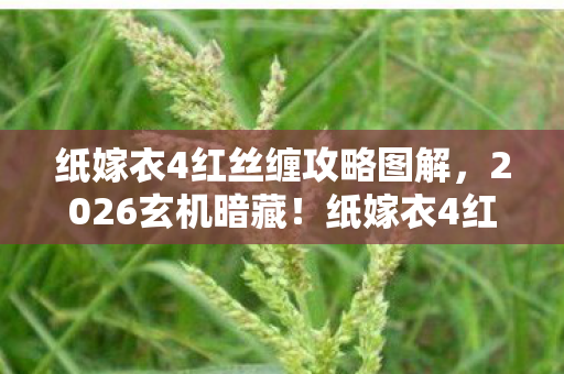 纸嫁衣4红丝缠攻略图解，2026玄机暗藏！纸嫁衣4红丝缠里，沉默的真相在等你揭开