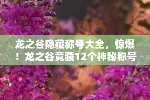 龙之谷隐藏称号大全，惊爆！龙之谷竟藏12个神秘称号，触碰真相竟如此震撼？