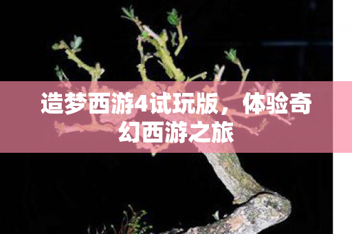 造梦西游4试玩版图片