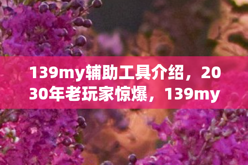 139my辅助工具介绍,2030年老玩家惊爆,139my辅助工具竟藏着颠覆认知的十年真相! 139my辅助工具介绍,2030年老玩家惊爆,139my辅助工具竟藏着颠覆认知的十年真相!