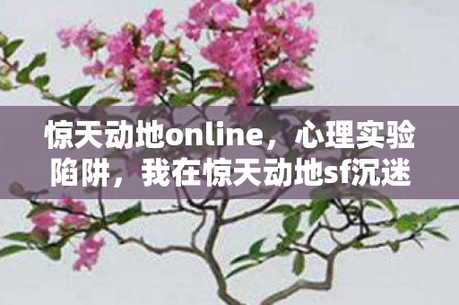 惊天动地online，心理实验陷阱，我在惊天动地sf沉迷三年，细思极恐的自我囚禁
