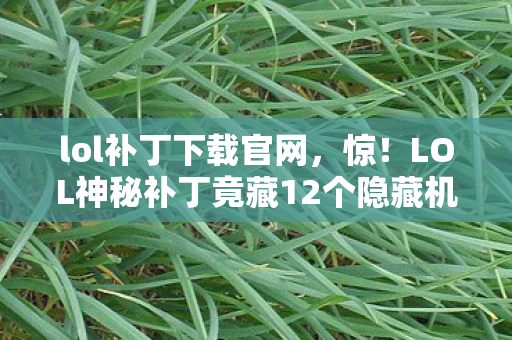 lol补丁下载官网，惊！LOL神秘补丁竟藏12个隐藏机制？老玩家亲历十年真相揭秘