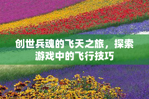 探索游戏中的飞行技巧图片