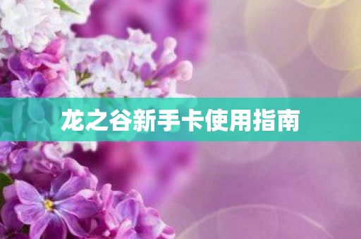 龙之谷新手卡使用指南图片