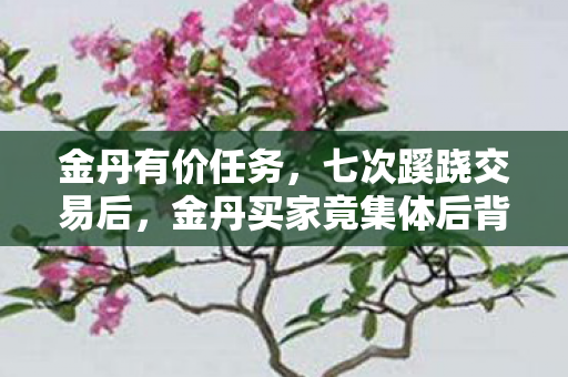 金丹有价任务,七次蹊跷交易后,金丹买家竟集体后背发凉! 金丹有价任务,七次蹊跷交易后,金丹买家竟集体后背发凉!