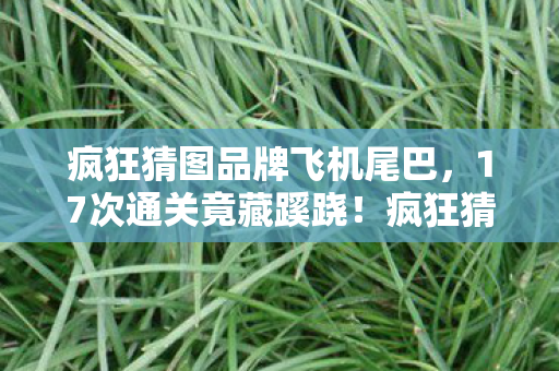 疯狂猜图品牌飞机尾巴，17次通关竟藏蹊跷！疯狂猜图飞机背后，真相让人后背发凉