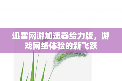 迅雷网游加速器给力版图片