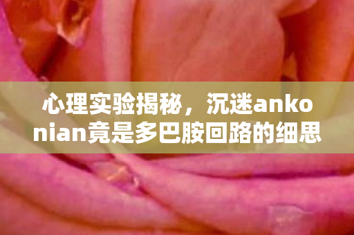心理实验揭秘，沉迷ankonian竟是多巴胺回路的细思极恐手术？