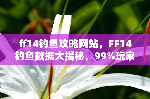 ff14钓鱼攻略网站，FF14钓鱼数据大揭秘，99%玩家错过的暴利链，竟藏着久违的感动！