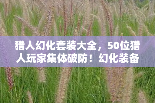 猎人幻化套装大全，50位猎人玩家集体破防！幻化装备竟藏惊天疑点，网友，绷不住了！