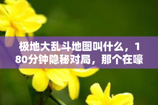 极地大乱斗地图叫什么，180分钟隐秘对局，那个在嚎哭深渊哽咽的夜晚，我们都没说再见