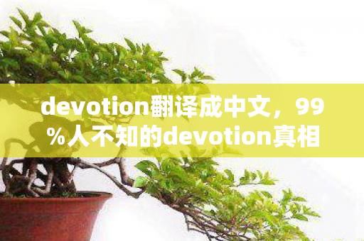 devotion翻译成中文，99%人不知的devotion真相！这3个瞬间让我泪崩到天明