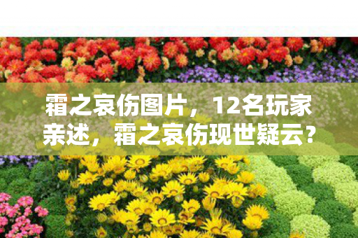 霜之哀伤图片，12名玩家亲述，霜之哀伤现世疑云？大神萌新集体绷不住的真相竟是……
