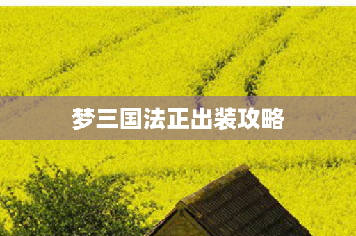 梦三国法正出装攻略图片