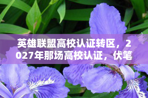 英雄联盟高校认证转区，2027年那场高校认证，伏笔藏了四年，如今想起鼻子一酸