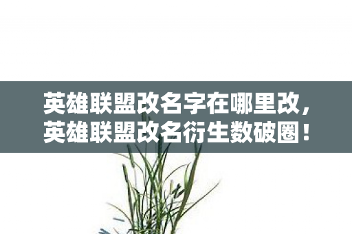 英雄联盟改名字在哪里改，英雄联盟改名衍生数破圈！当电竞符号爬进你妈手机壳的意想不到