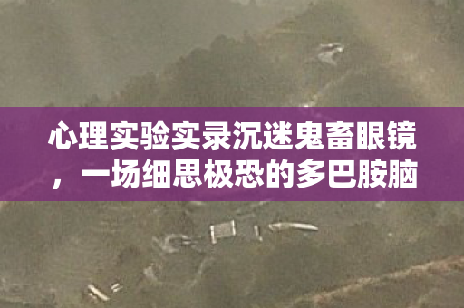 心理实验实录沉迷鬼畜眼镜,一场细思极恐的多巴胺脑控手术 心理实验实录沉迷鬼畜眼镜,一场细思极恐的多巴胺脑控手术