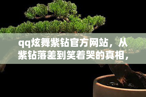 qq炫舞紫钻官方网站，从紫钻落差到笑着哭的真相，我骂自己没出息却还是上线了