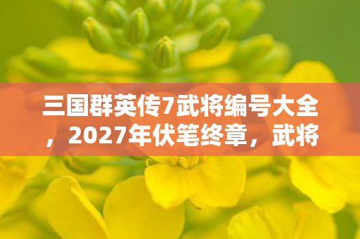 三国群英传7武将编号大全，2027年伏笔终章，武将编号成绝响，鼻子一酸忆当年
