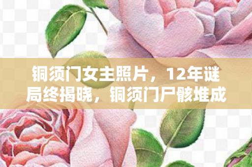 铜须门女主照片,12年谜局终揭晓,铜须门尸骸堆成山,玩家泪目问我们究竟为何而战? 铜须门女主照片,12年谜局终揭晓,铜须门尸骸堆成山,玩家泪目问我们究竟为何而战?