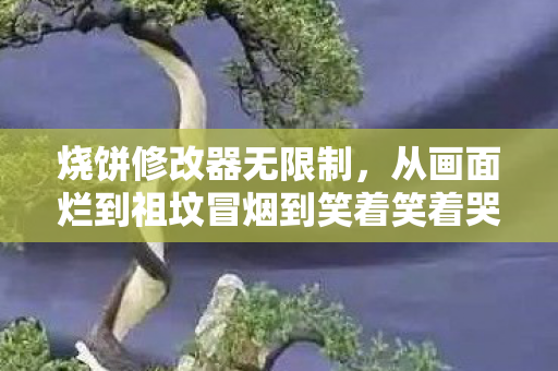 烧饼修改器无限制,从画面烂到祖坟冒烟到笑着笑着哭了,烧饼修改器的落差真相 烧饼修改器无限制,从画面烂到祖坟冒烟到笑着笑着哭了,烧饼修改器的落差真相