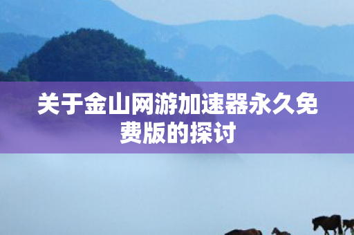 关于金山网游加速器永久免费版的探讨图片