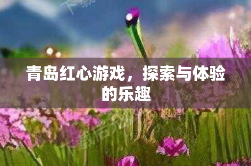 探索与体验的乐趣图片