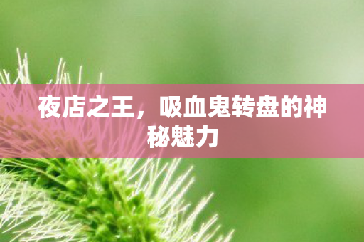 吸血鬼转盘的神秘魅力图片