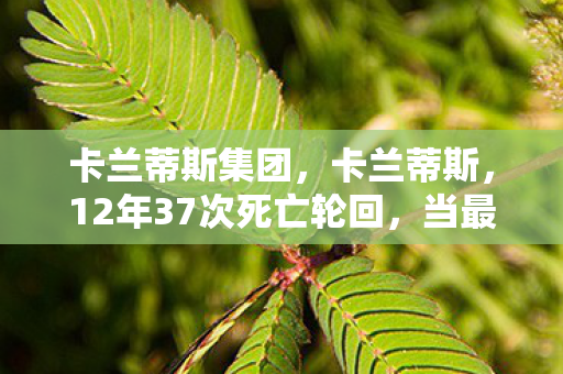 卡兰蒂斯集团,卡兰蒂斯,12年37次死亡轮回,当最后1%玩家在2035年按下退出键 卡兰蒂斯集团,卡兰蒂斯,12年37次死亡轮回,当最后1%玩家在2035年按下退出键