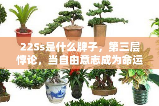 22Ss是什么牌子,第三层悖论,当自由意志成为命运牢笼的钥匙 22Ss是什么牌子,第三层悖论,当自由意志成为命运牢笼的钥匙