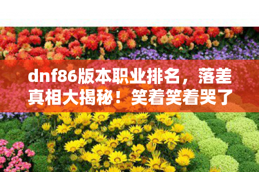 dnf86版本职业排名，落差真相大揭秘！笑着笑着哭了，DNF86版本职业排行背后的荒诞剧