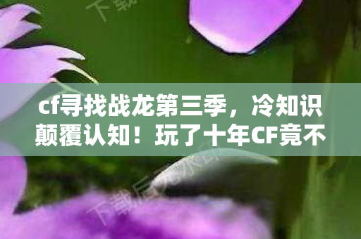 cf寻找战龙第三季,冷知识颠覆认知!玩了十年CF竟不知战龙隐藏秘密,我目瞪口呆! cf寻找战龙第三季,冷知识颠覆认知!玩了十年CF竟不知战龙隐藏秘密,我目瞪口呆!