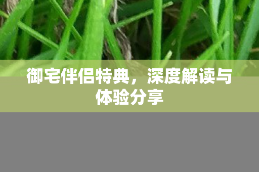 深度解读与体验分享图片