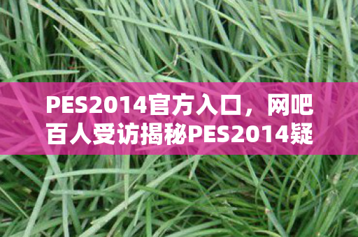 PES2014官方入口，网吧百人受访揭秘PES2014疑云，那些绷不住的眼泪与狂笑