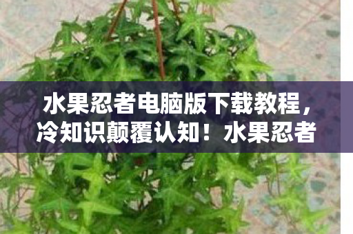 水果忍者电脑版下载教程，冷知识颠覆认知！水果忍者电脑版暗藏目瞪口呆的炸弹级设计