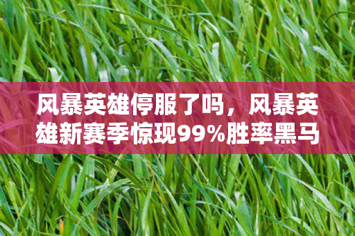风暴英雄停服了吗,风暴英雄新赛季惊现99%胜率黑马!是BUG还是神级战术?玩家沸腾了! 风暴英雄停服了吗,风暴英雄新赛季惊现99%胜率黑马!是BUG还是神级战术?玩家沸腾了!