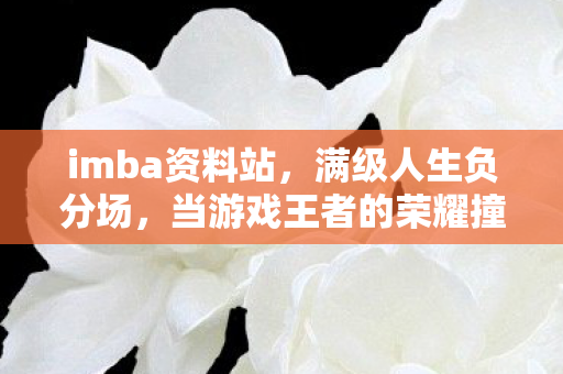 imba资料站,满级人生负分场,当游戏王者的荣耀撞碎现实废物的灵魂 imba资料站,满级人生负分场,当游戏王者的荣耀撞碎现实废物的灵魂