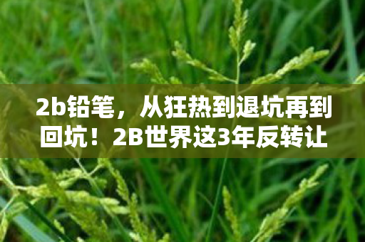 2b铅笔,从狂热到退坑再到回坑!2B世界这3年反转让我彻底破防! 2b铅笔,从狂热到退坑再到回坑!2B世界这3年反转让我彻底破防!