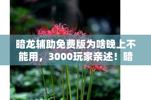 暗龙辅助免费版为啥晚上不能用,3000玩家亲述!暗龙辅助疑点重重,大神绷不住直呼这合理吗 暗龙辅助免费版为啥晚上不能用,3000玩家亲述!暗龙辅助疑点重重,大神绷不住直呼这合理吗