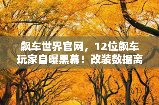 飙车世界官网，12位飙车玩家自曝黑幕！改装数据离奇消失，老炮儿听完都绷不住了