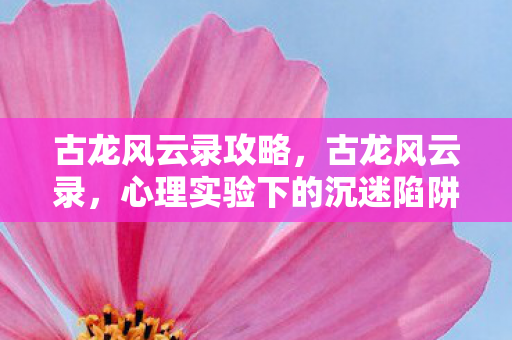 古龙风云录攻略，古龙风云录，心理实验下的沉迷陷阱，细思极恐的多巴胺操控术