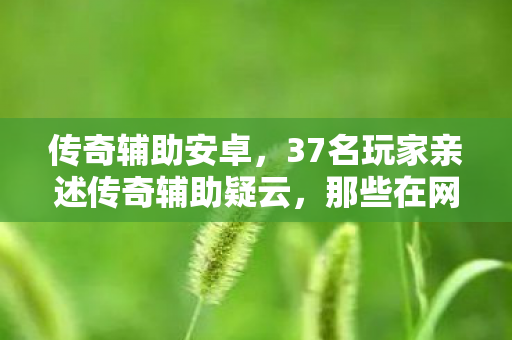 传奇辅助安卓,37名玩家亲述传奇辅助疑云,那些在网吧绷不住的眼泪与狂笑 传奇辅助安卓,37名玩家亲述传奇辅助疑云,那些在网吧绷不住的眼泪与狂笑
