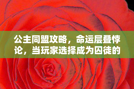 公主同盟攻略,命运层叠悖论,当玩家选择成为囚徒的钥匙时,谁在操控自由? 公主同盟攻略,命运层叠悖论,当玩家选择成为囚徒的钥匙时,谁在操控自由?