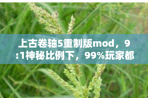 上古卷轴5重制版mod,9:1神秘比例下,99%玩家都曾被这扎心真相击中灵魂 上古卷轴5重制版mod,9:1神秘比例下,99%玩家都曾被这扎心真相击中灵魂