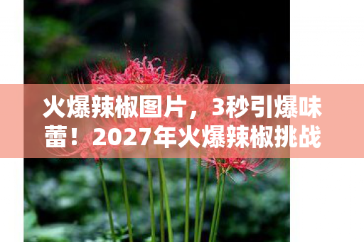 火爆辣椒图片,3秒引爆味蕾!2027年火爆辣椒挑战赛,99%人撑不过第5口? 火爆辣椒图片,3秒引爆味蕾!2027年火爆辣椒挑战赛,99%人撑不过第5口?