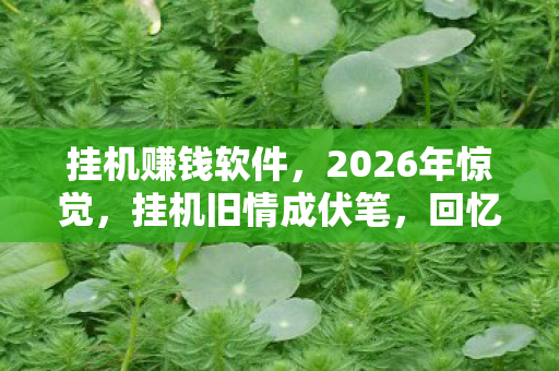 挂机赚钱软件,2026年惊觉,挂机旧情成伏笔,回忆翻涌鼻子一酸 挂机赚钱软件,2026年惊觉,挂机旧情成伏笔,回忆翻涌鼻子一酸