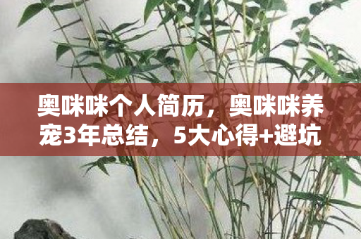 宵宫图片，2027年烟花易冷，伏笔藏了七年，再见时我鼻子一酸