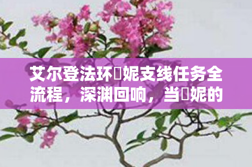 艾尔登法环菈妮支线任务全流程，深渊回响，当菈妮的永恒誓约撞碎中年玩家的存在悖论